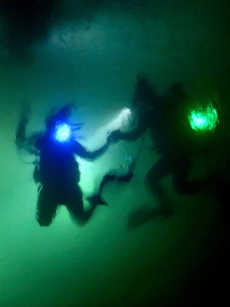 night diver certification